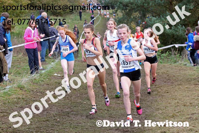 Girls under-15s National Cross Country Relay, Berry Hill Park, Mansfield. Photo:  David T. Hewitson/Sports for All Pics